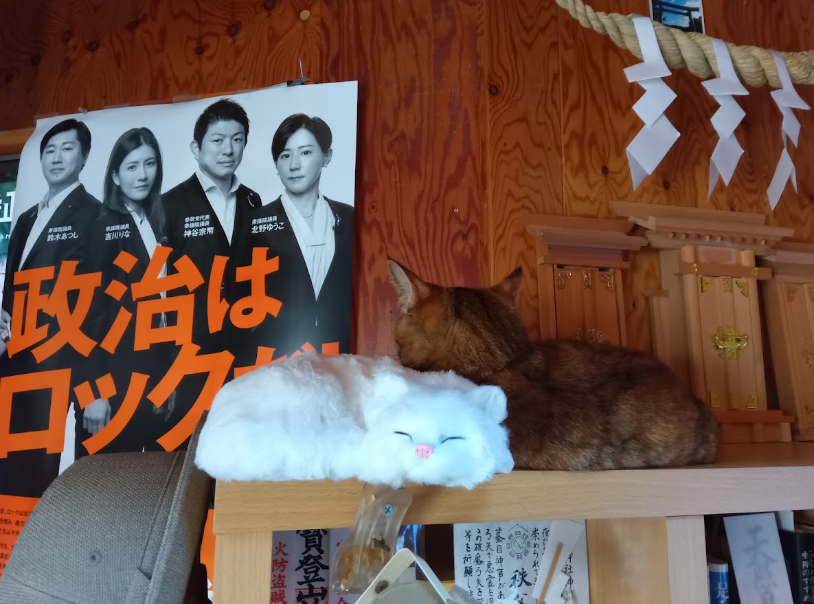 ネコちゃん占い師の占筮日記109